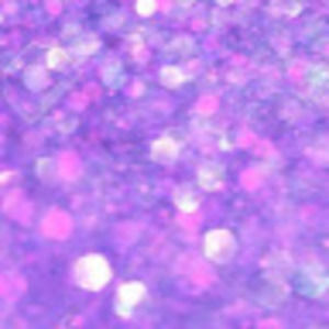 Meet your Posher, Bella